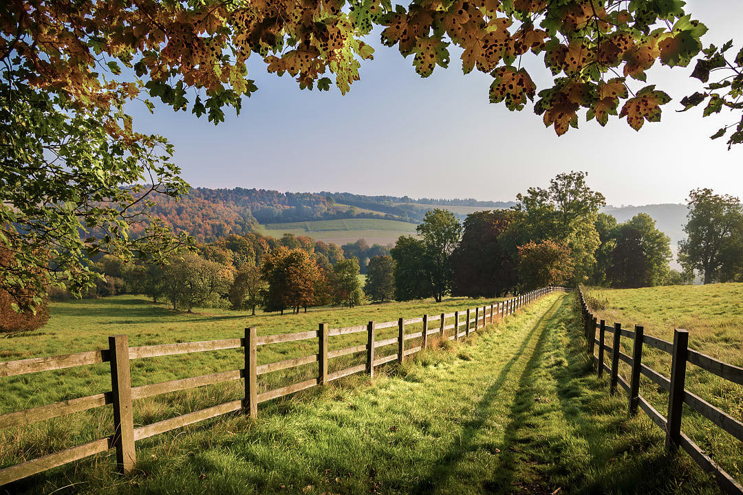 Chiltern countryside in Buckinghamshire, England