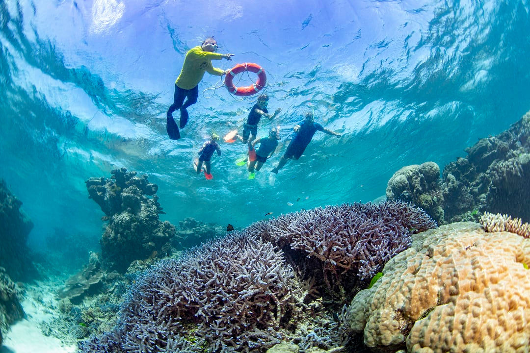 Family snorkeling the Great Barrier Reef, Australia