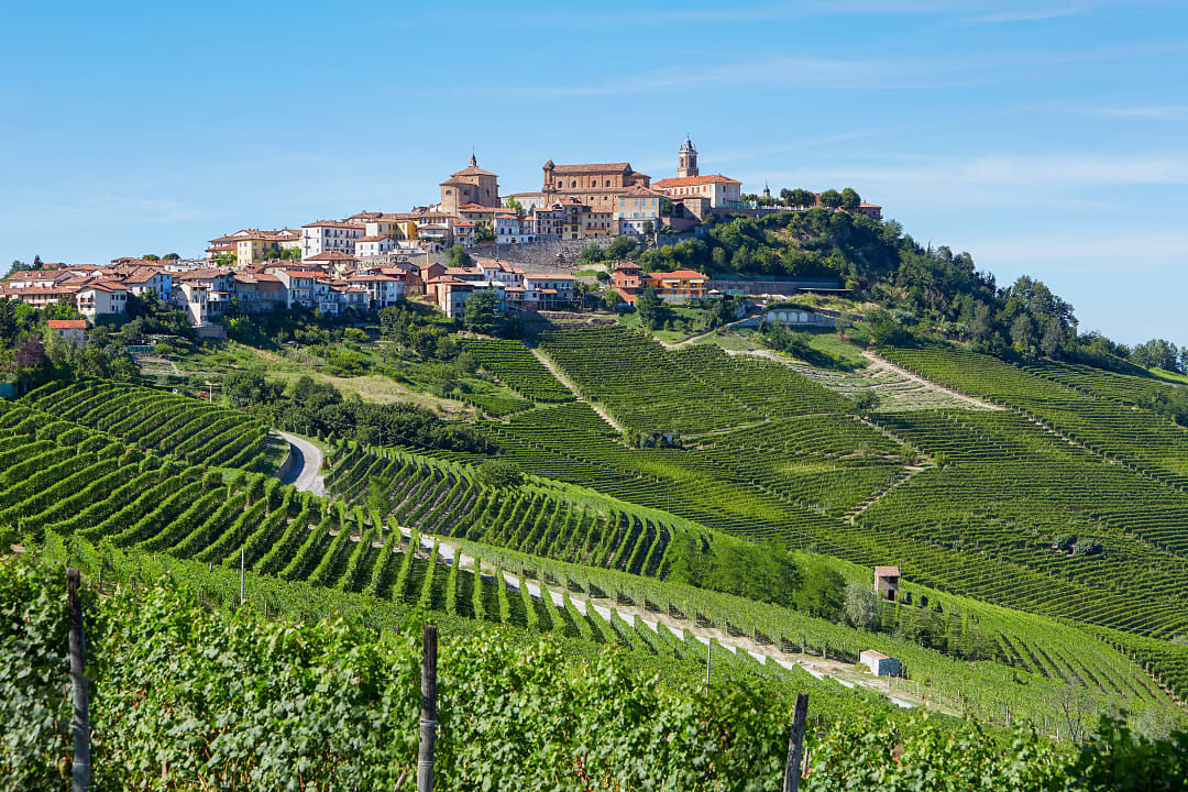 La Morra surrounded by vineyards