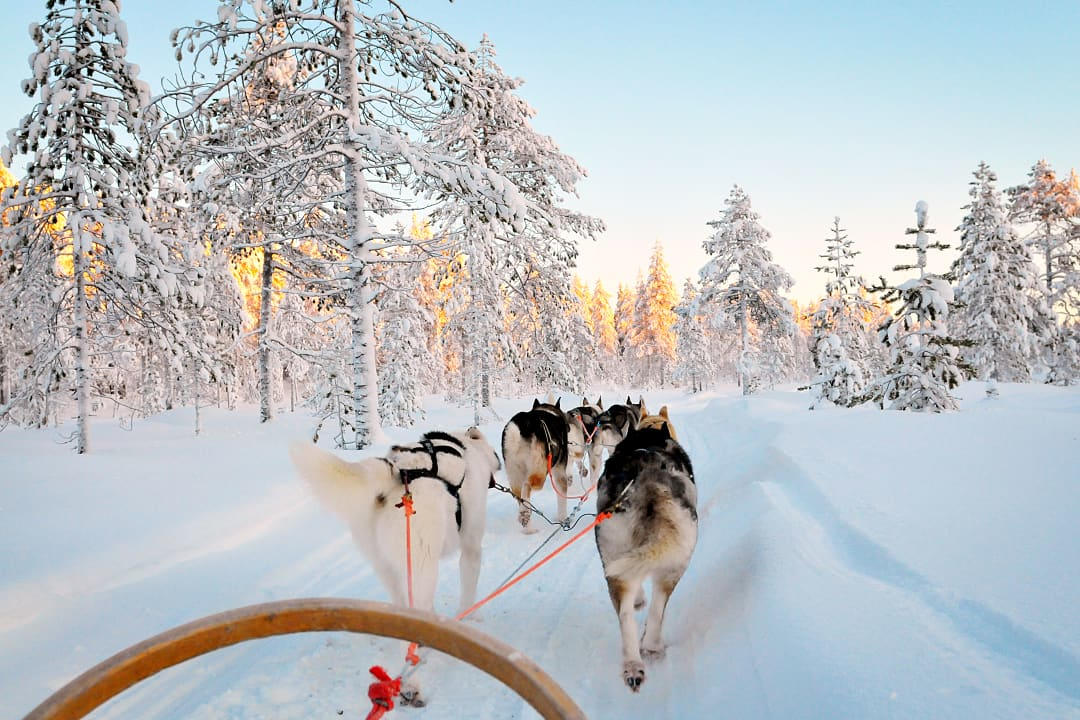 hildren in Finland where chasing northern lights is a part of the memory.
