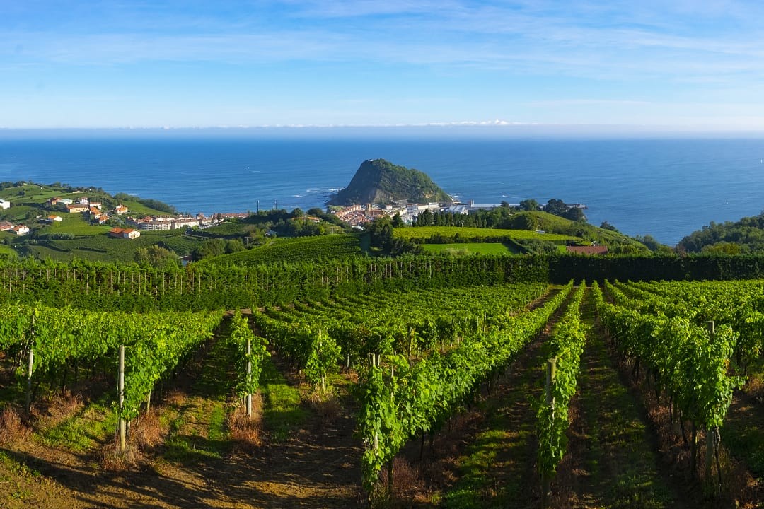 Vineyards and wineries with Cantabrian sea in the background, Basque, Spain