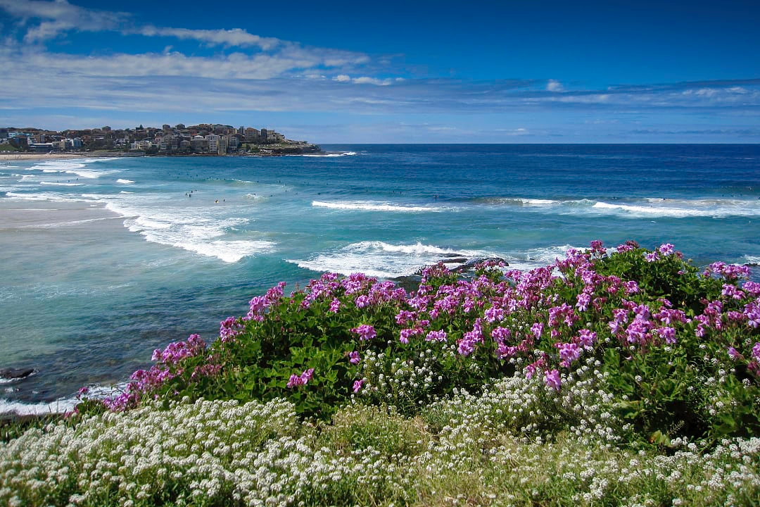 Bondi Bay in Sydney, Australia