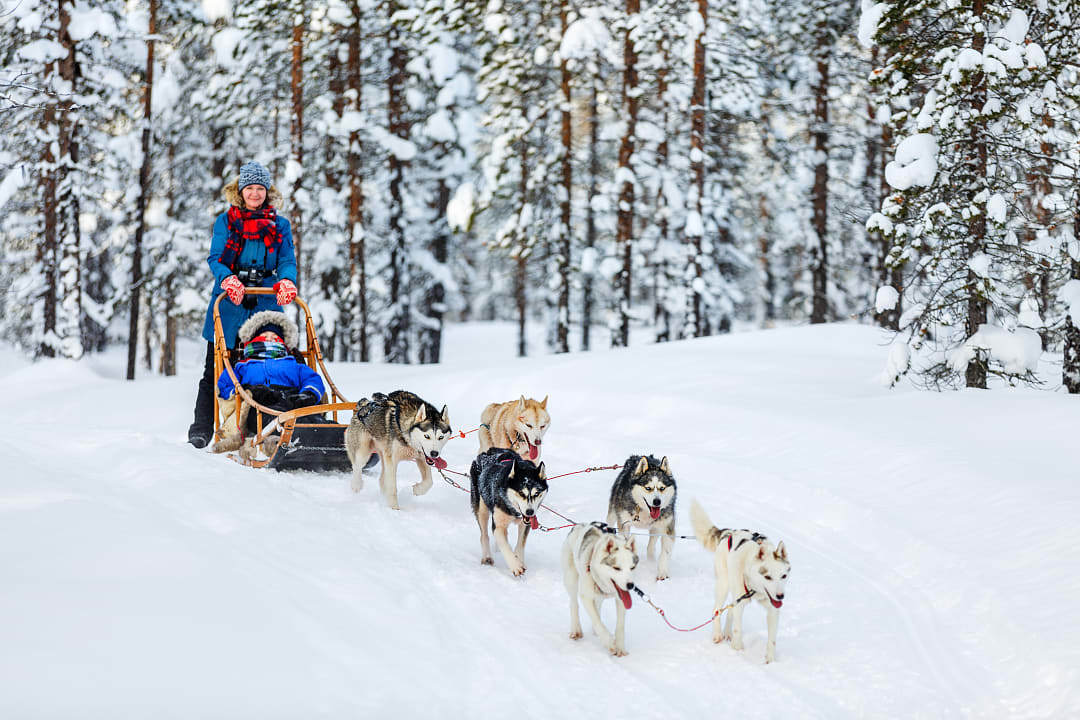 Mother and son dog sledding in Lapland, Finland