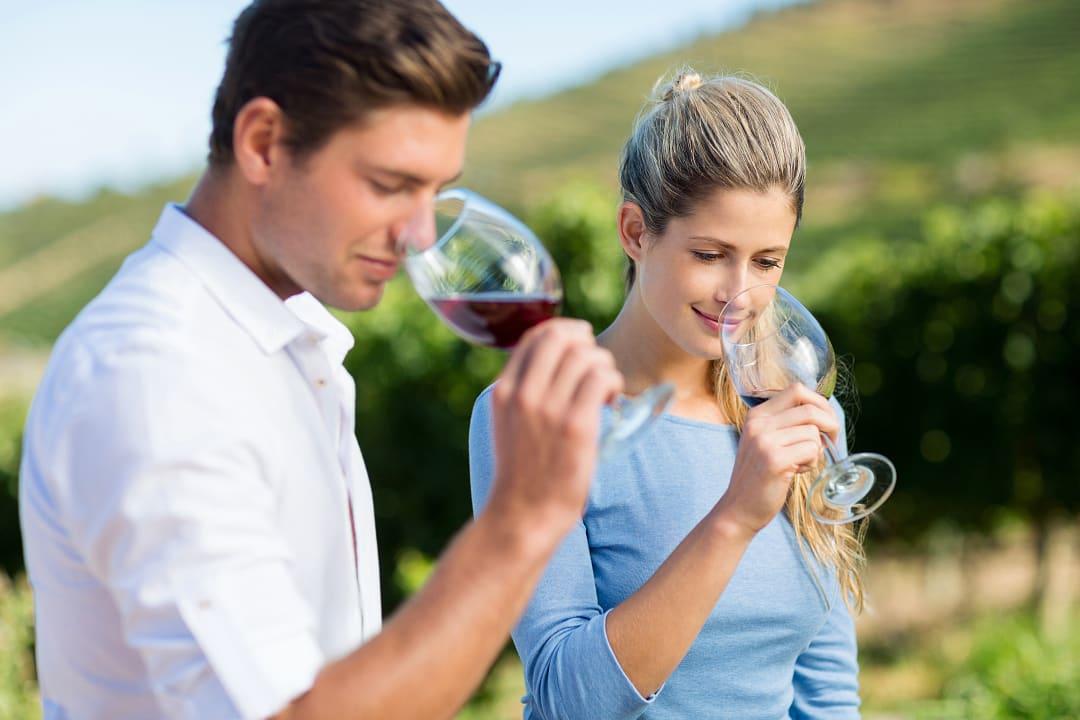 Couple smelling wine during tasting at a vineyard