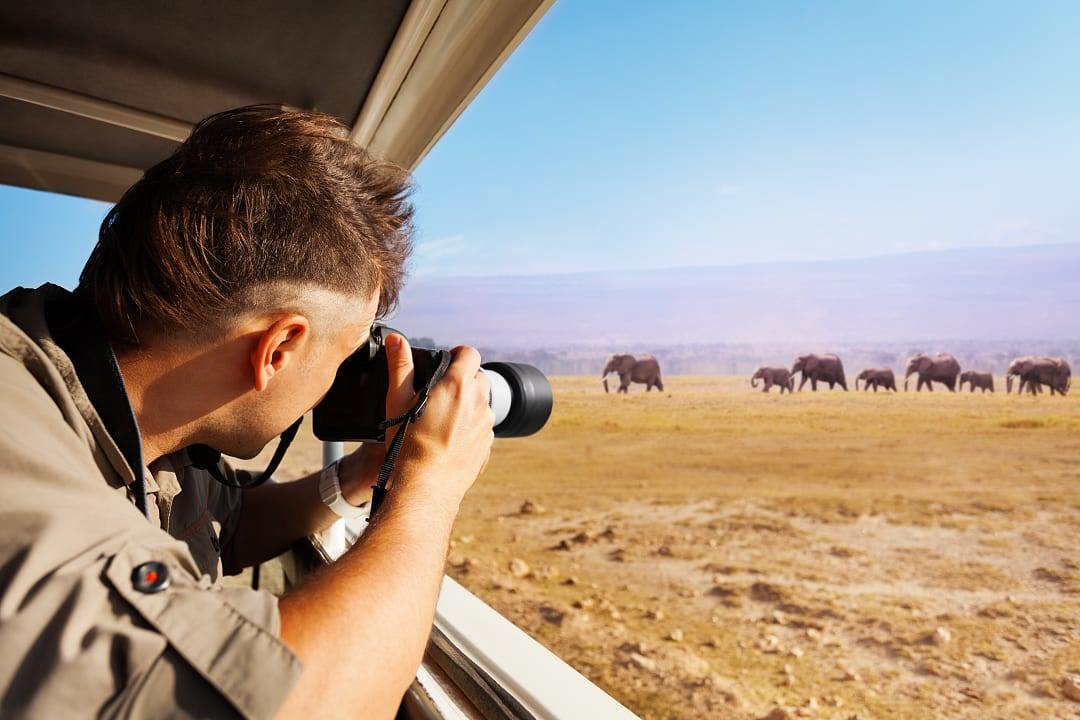 African safari in Masai Mara National Reserve, Kenya