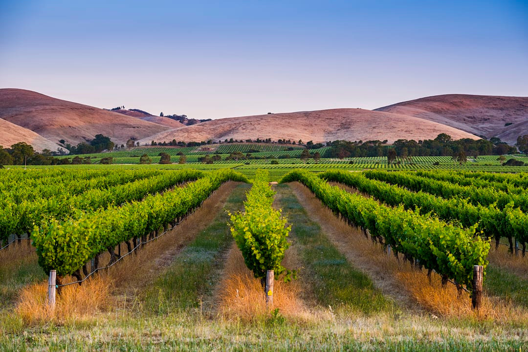 Barossa Valley, Australia