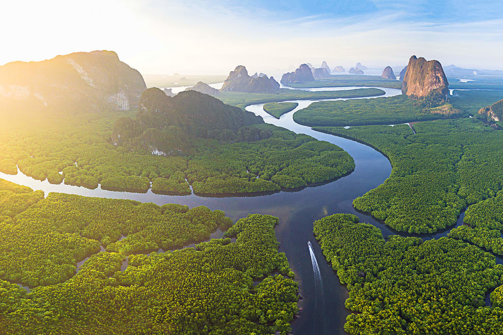 Sea waters winding through miles of mangroves and limestone karsts in Phang Na Bay, Thailand