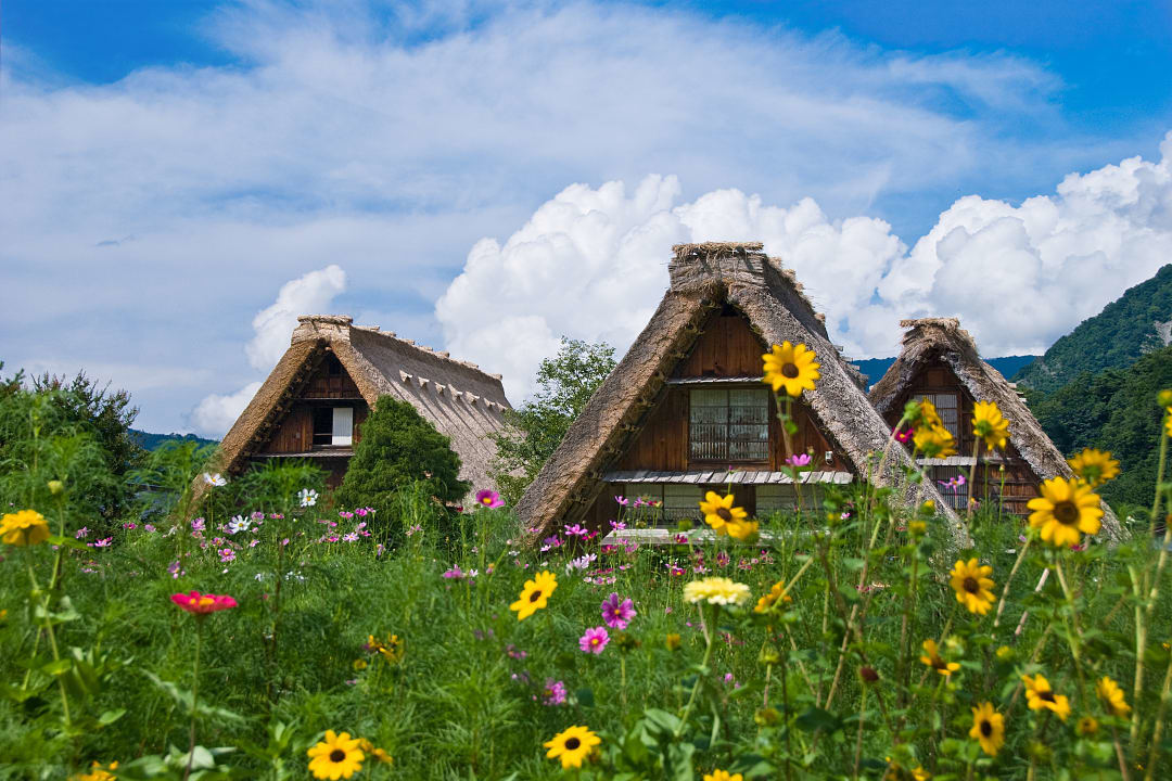 Traditional houses in Shirakawa-go, Japan