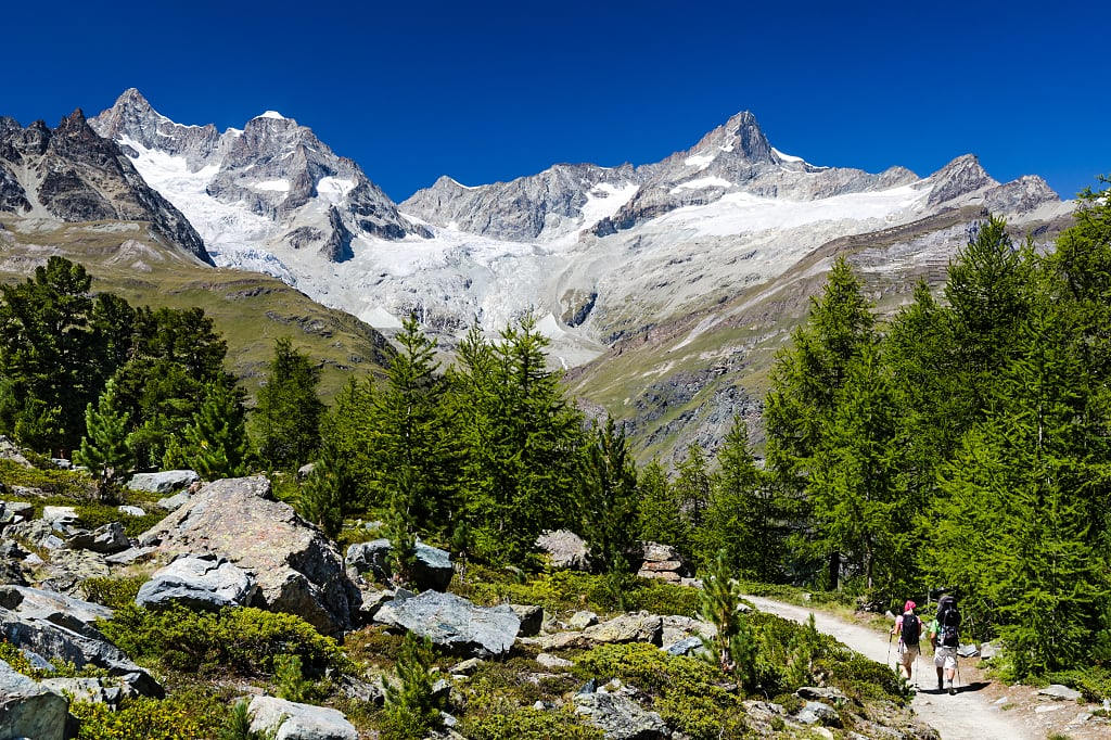 Trekking in the Swiss Alps