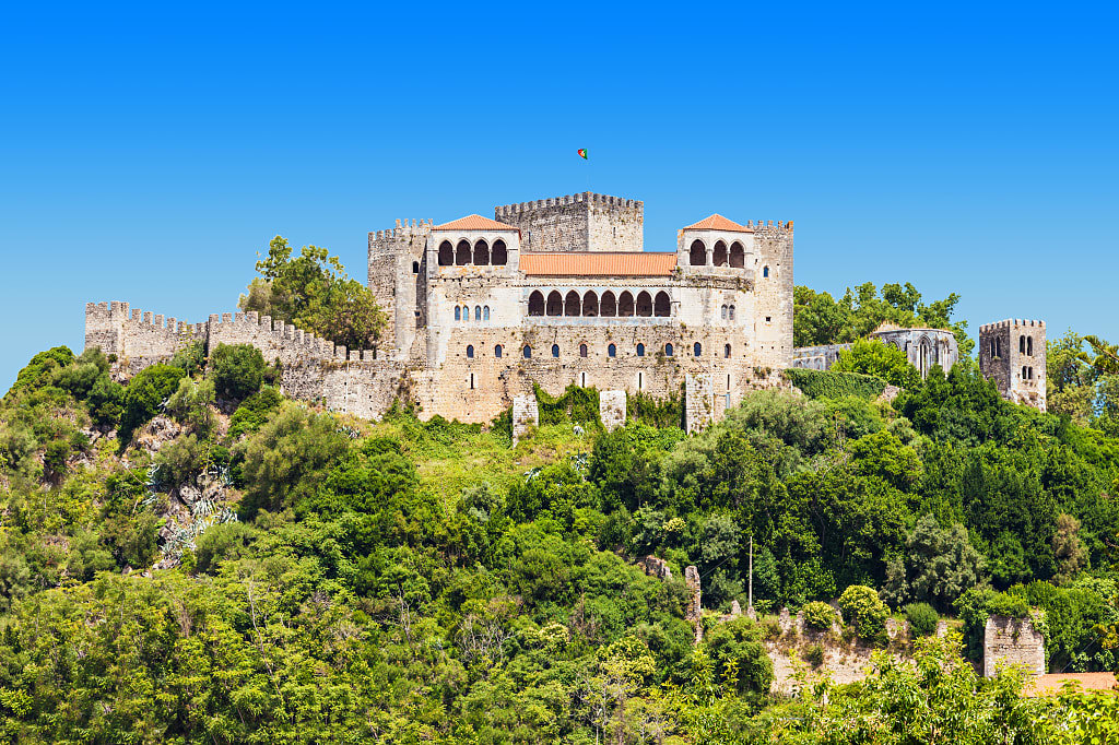 Leiria castle among pine forest, Leiria, Portugal