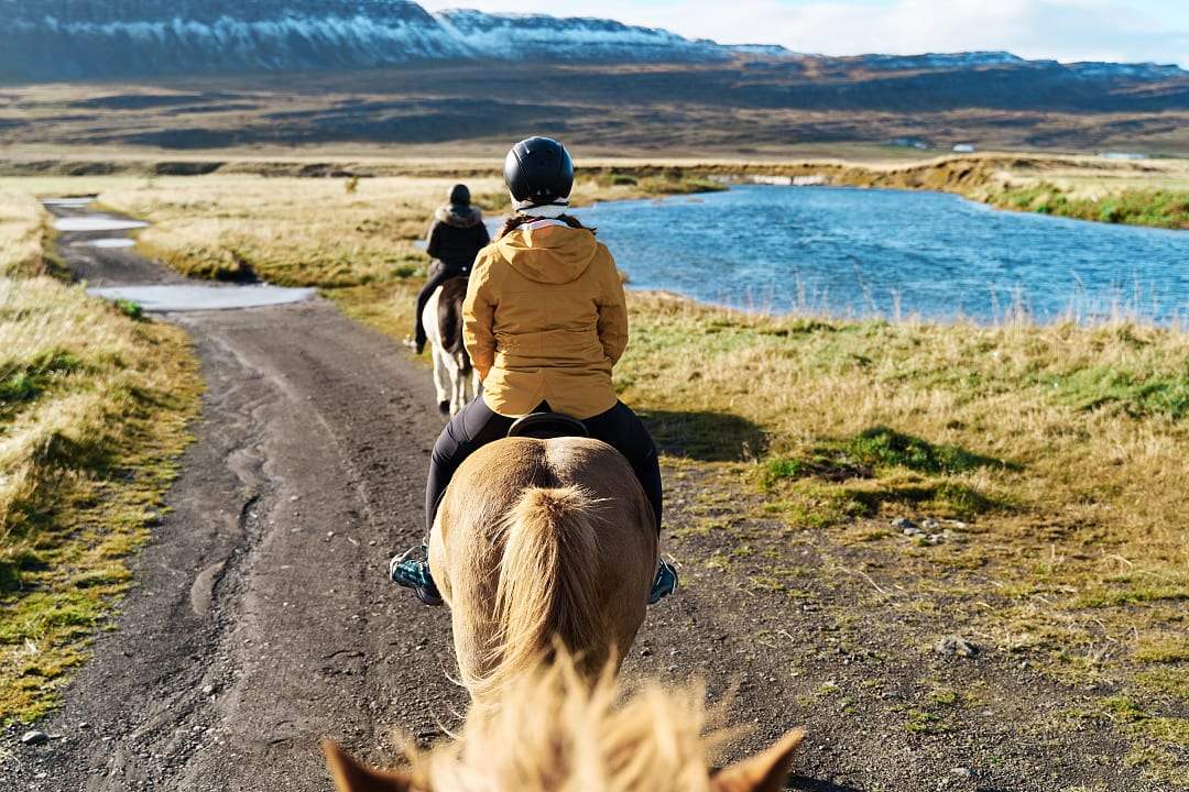 Horseback ride in Iceland