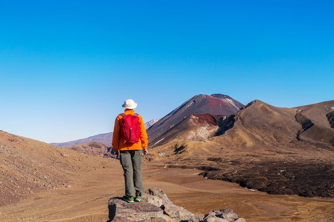 Person admiring the view at the Tongarino Alpine Crossing, New Zealand.
