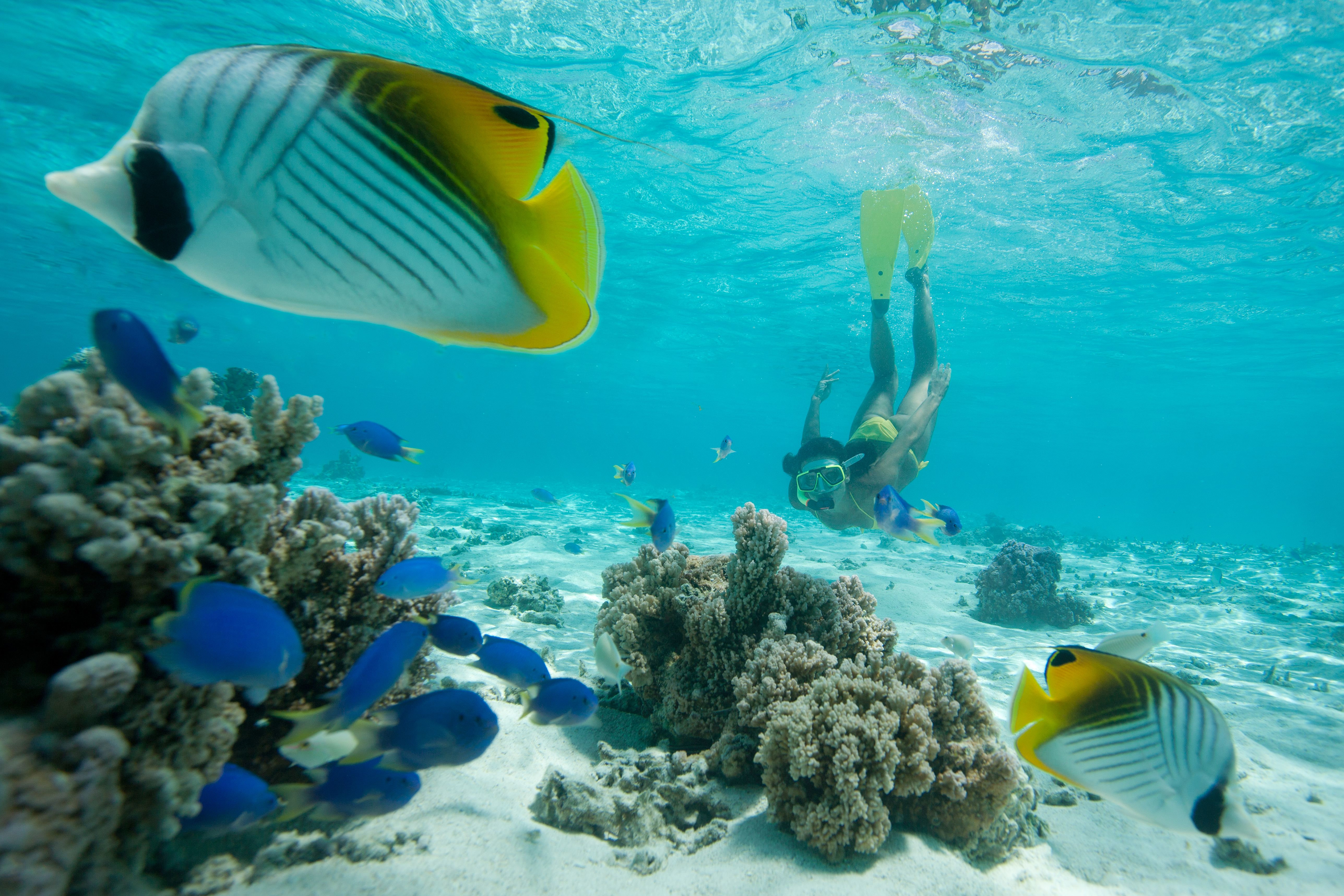 Underwater experience in Fiji.