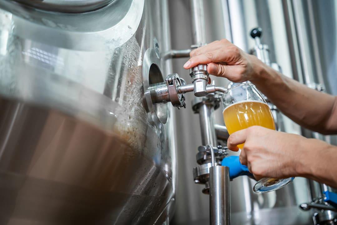 Beer being tested in a brewery, Ireland.