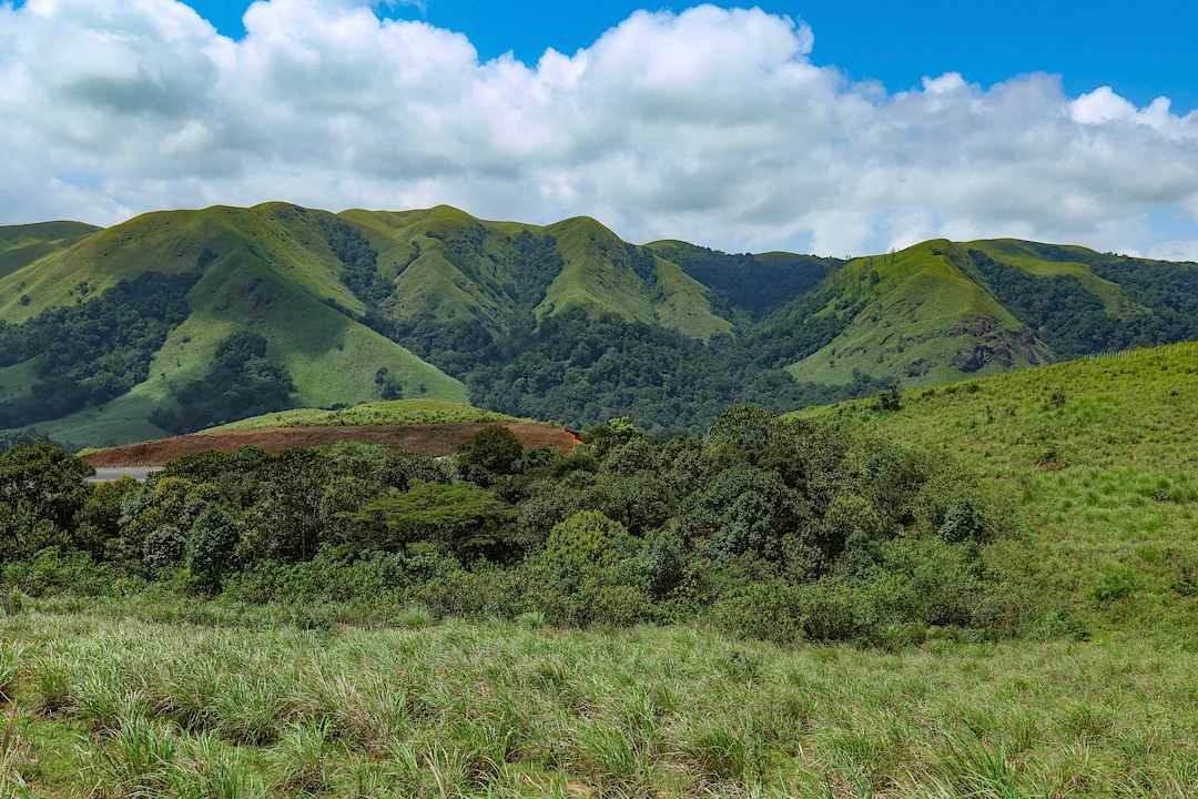 Periyar Tiger Reserve, India.