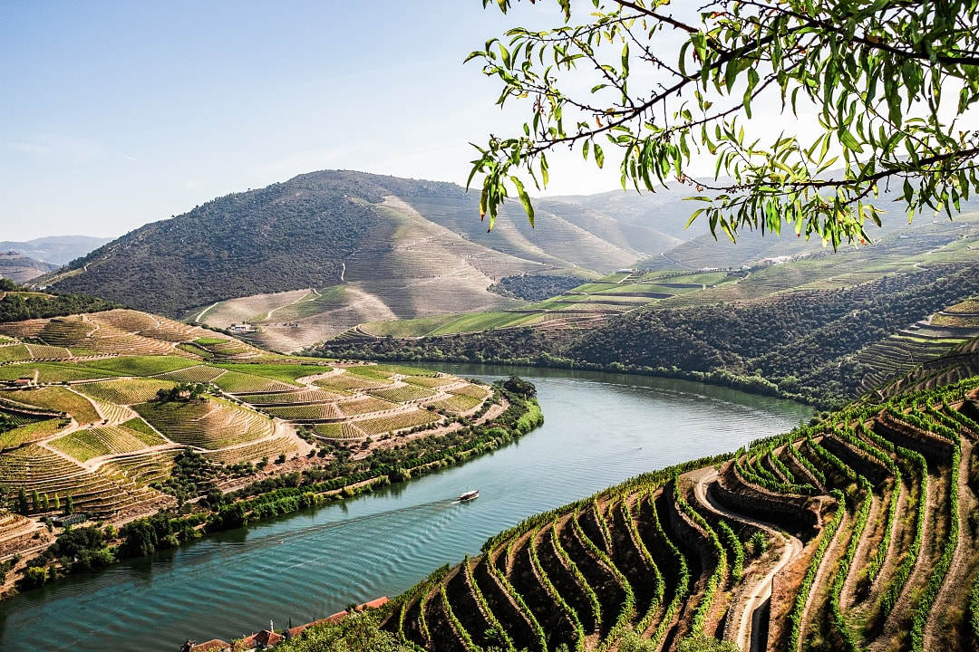 Douro Valley in Portugal.