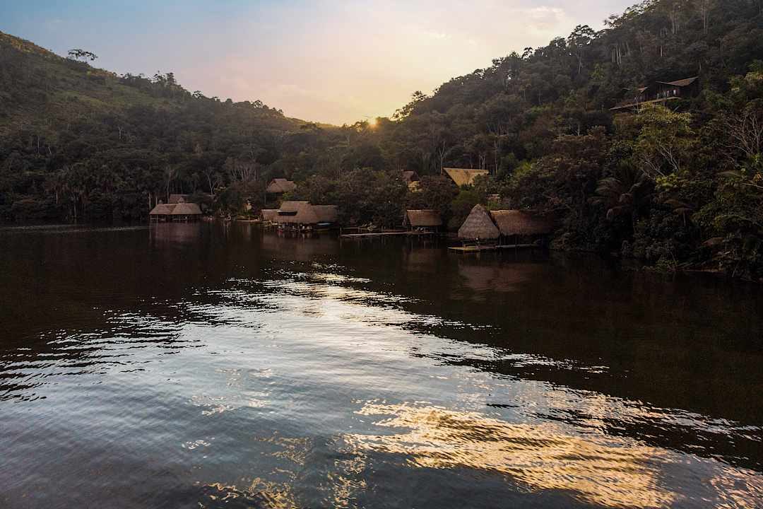 Amazon rainforest cabins, Peru.