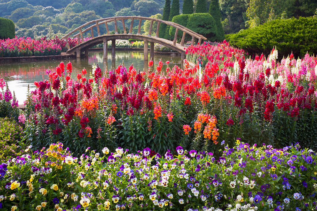 The Keukenhof Gardens, Netherlands
