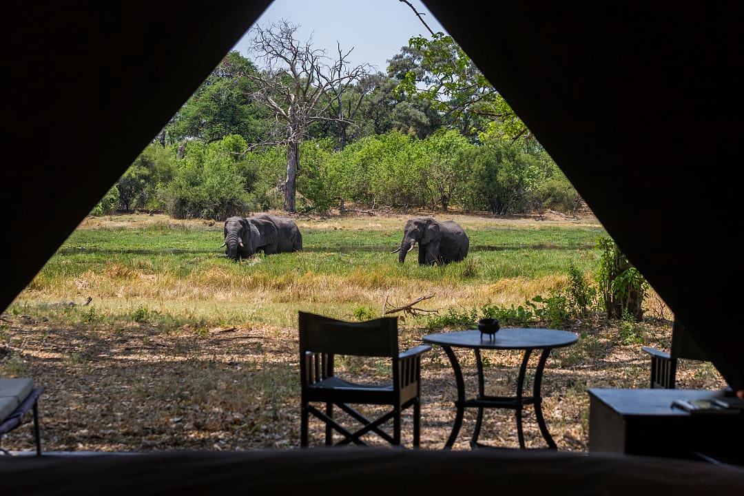 A luxury tented safari camp in the Okavango Delta, Botswana.