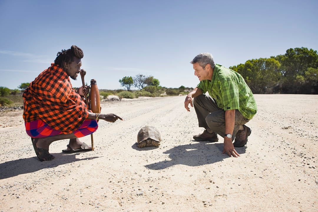 A local Masaai guide and a traveler pause on a dusty road to quietly observe a tortoise inching across their path.
