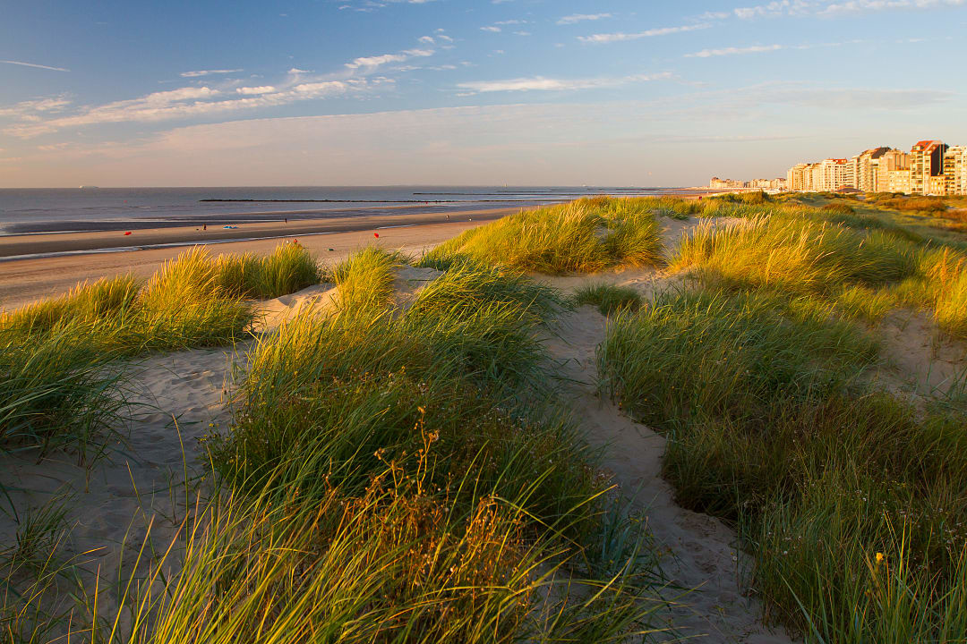 Golden sand dunes with green sea grass under blue sky.