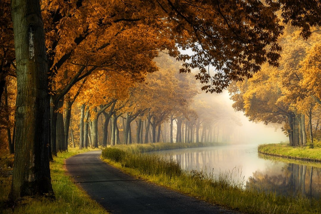 Vlaanderen during fall in Belgium.