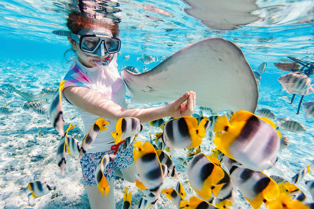 Marine life in Bora Bora.