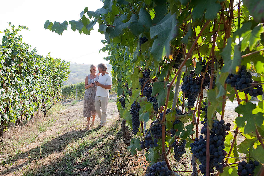 Senior couple walking through vineyard rows during a luxury wine tasting experience