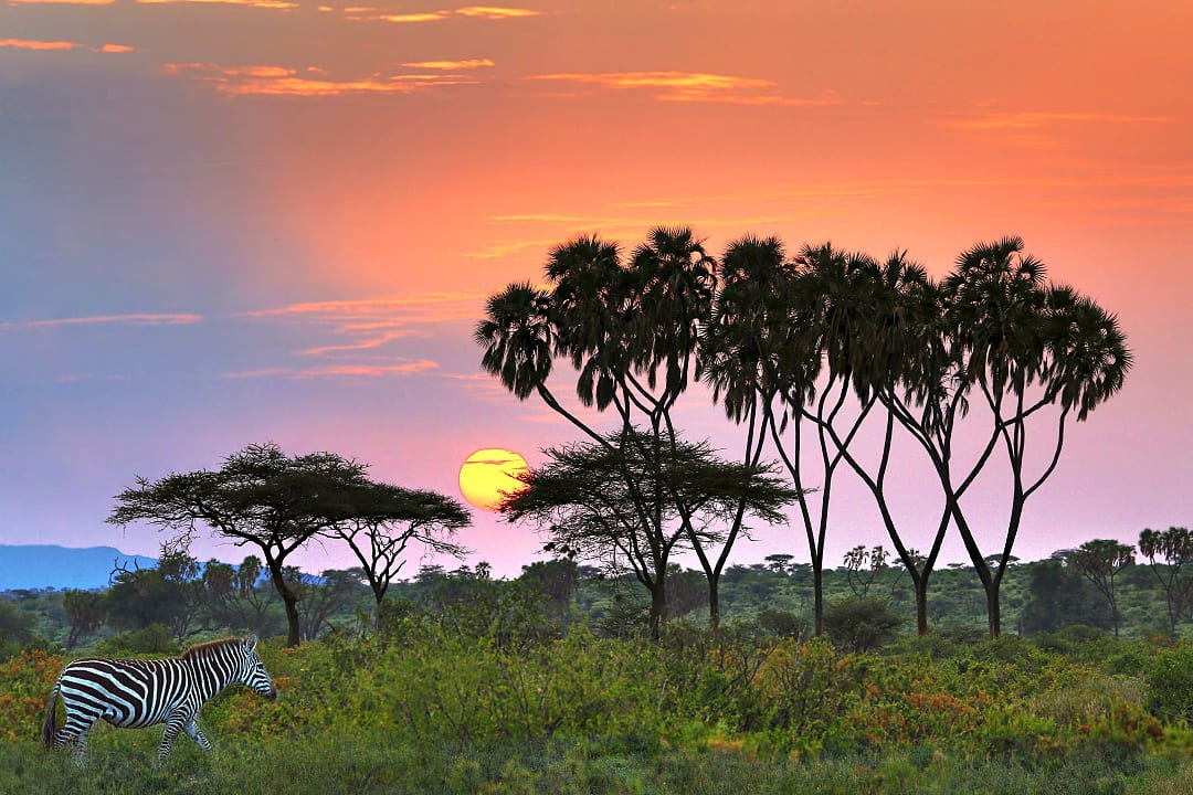 Samburu, Kenya