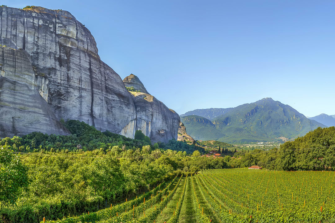 Vineyards in Meteora, Greece