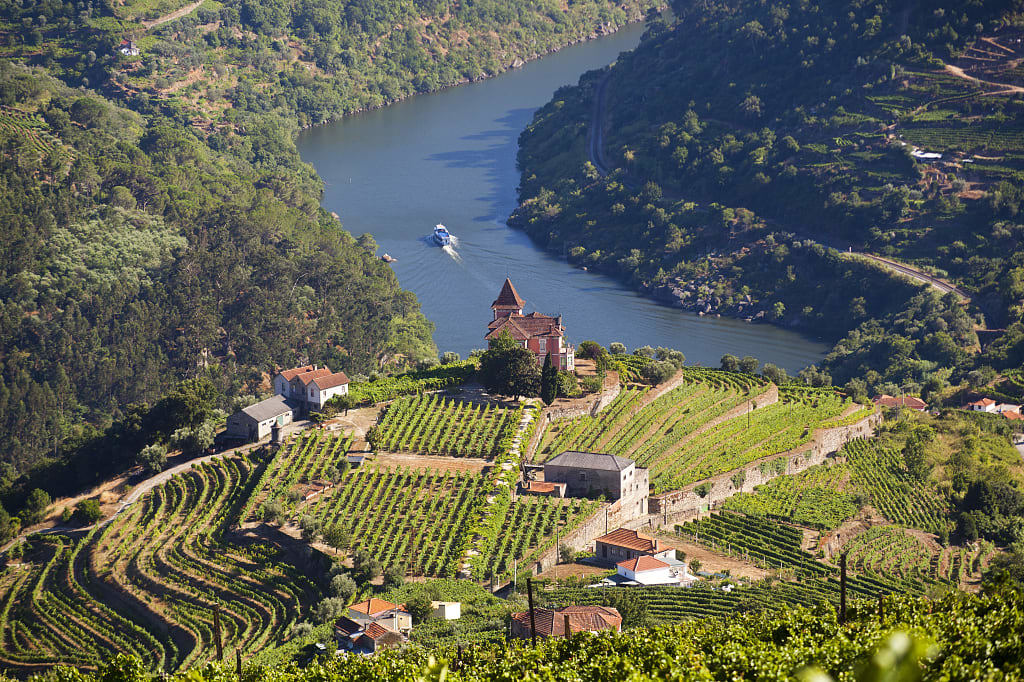 Hilltop vineyards in Portugal's Duoro Valley wine region