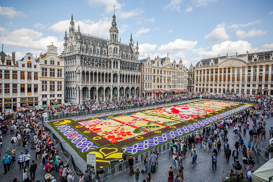 Stunning Brussels Flower Carpet in Belgium displayed at Grand Place, surrounded by historic architecture