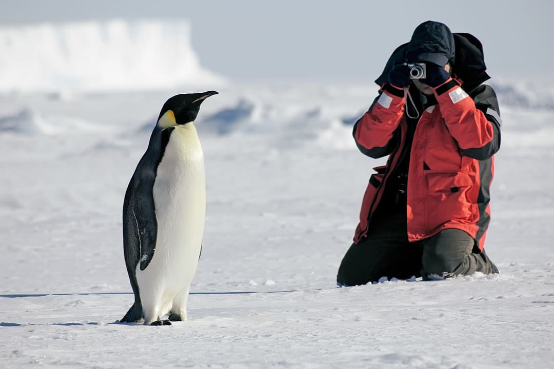 Tourist photographing a penguin in Antarctica