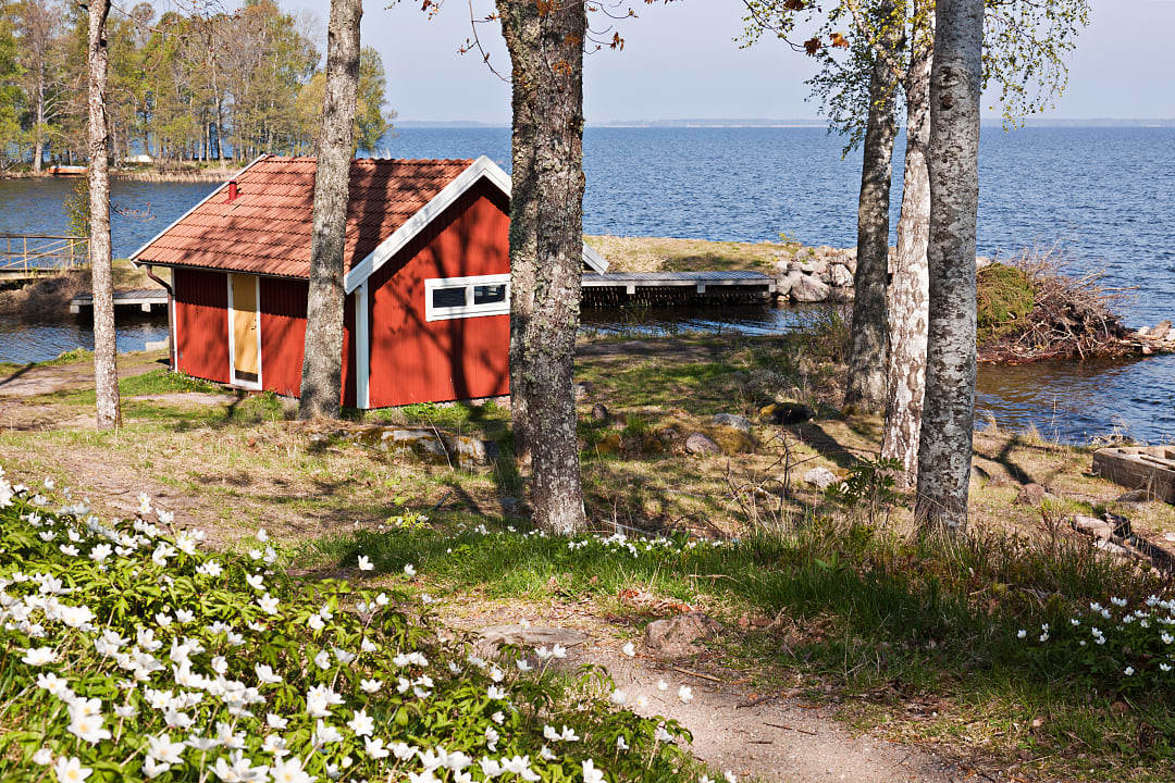 Seasonal flowers and small cabin by the lake in Lidingo Island, Sweden 