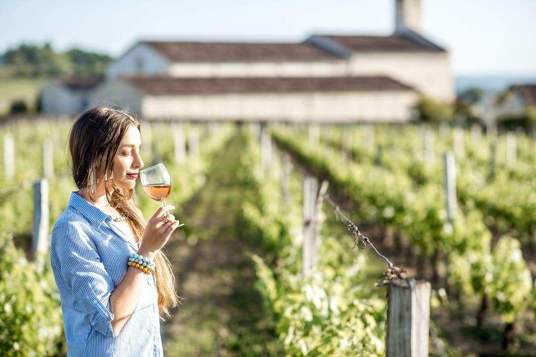 Winery in Bordeaux, France.