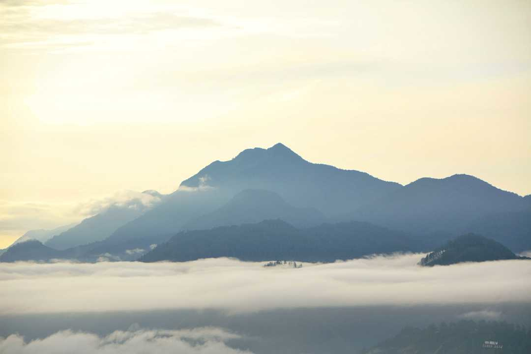 Gayo Highlands, Sumatra.