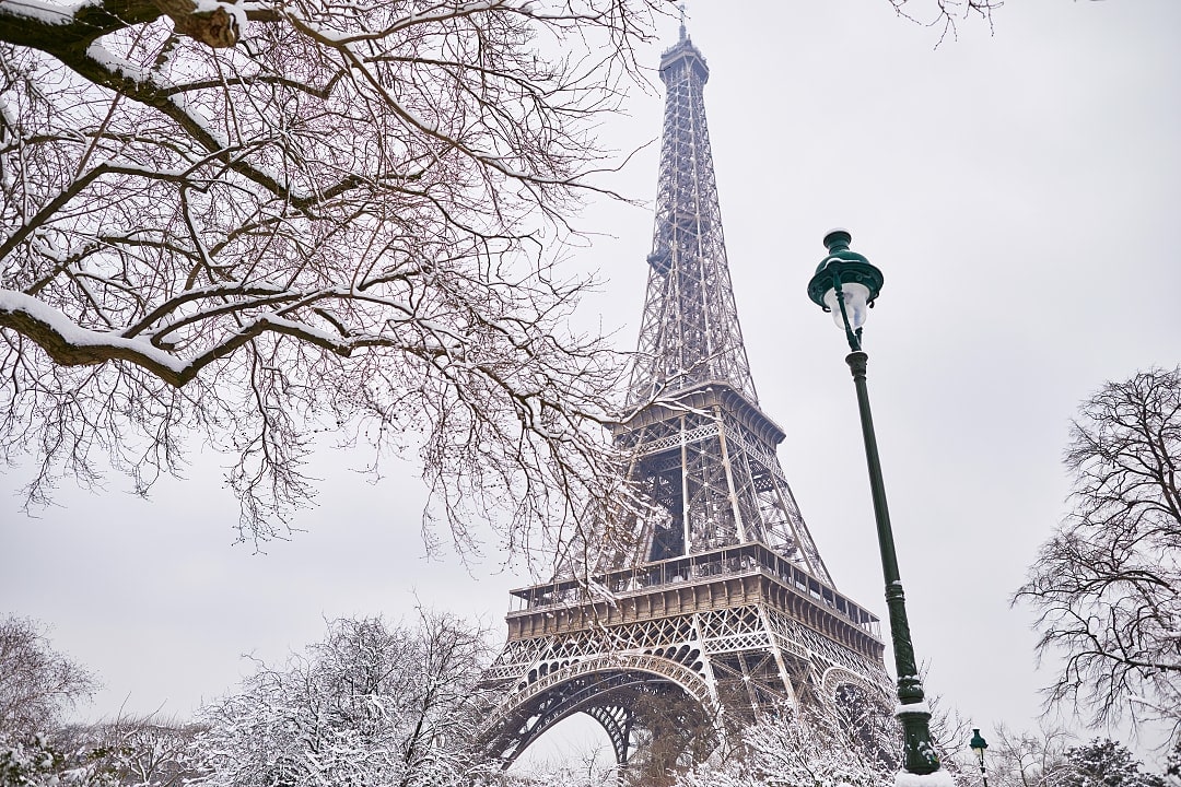 Eiffel tower and surrounding trees covered in snow