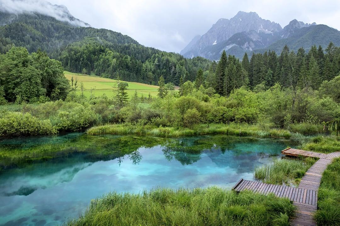 Zelenci Pond in the Slovenia's Julian Alps