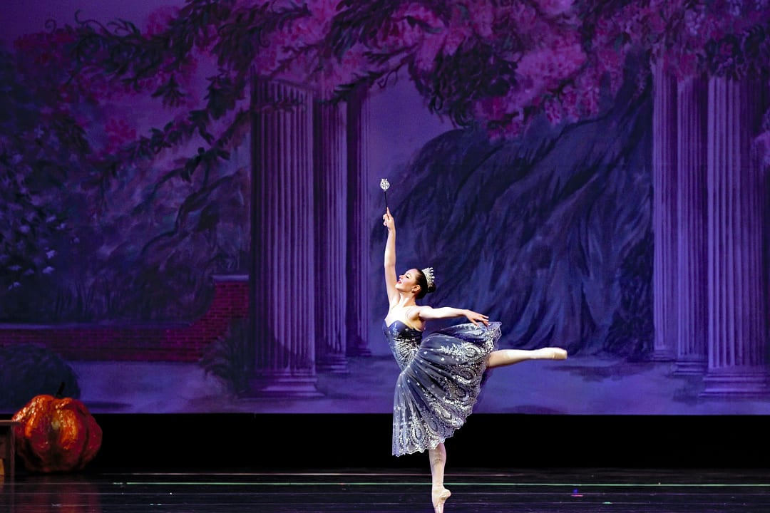 The Dutch National Ballet Gala in Amsterdam