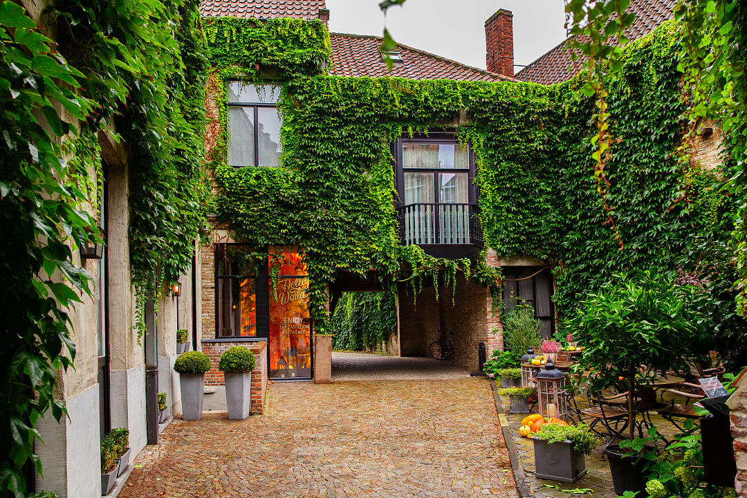 Ivy covered stone courtyard with a cobblestone path and greenery.