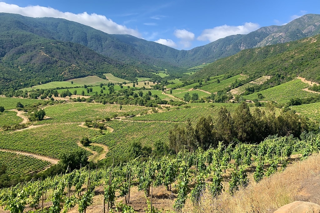 Colchagua Valley, Chile