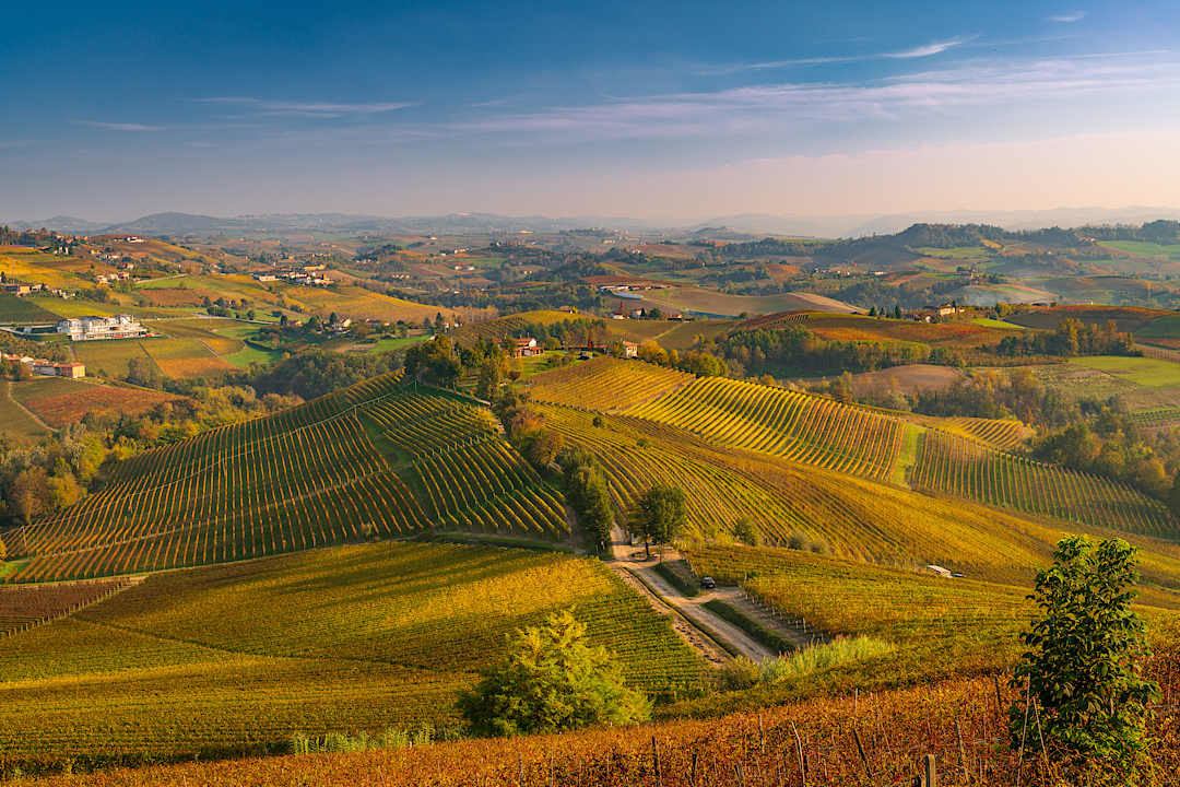 Langhe Hills, Piedmont.