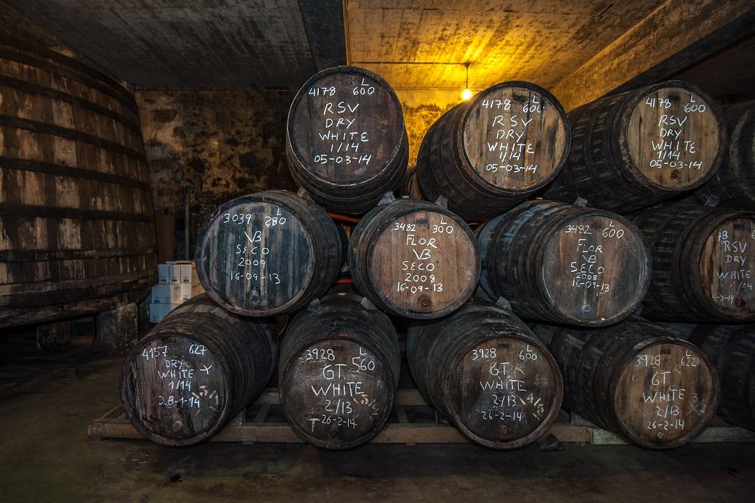 Sherry barrels in Jerez bodega in Spain