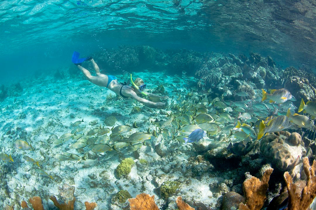 Snorkeling in Belize