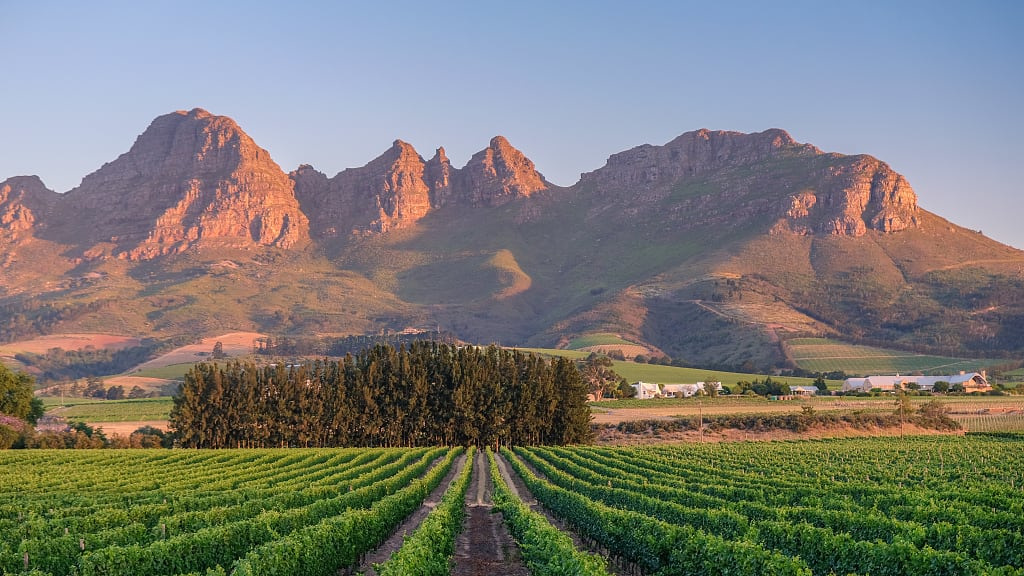 Cape Winelands in Stellenbosch, South Africa