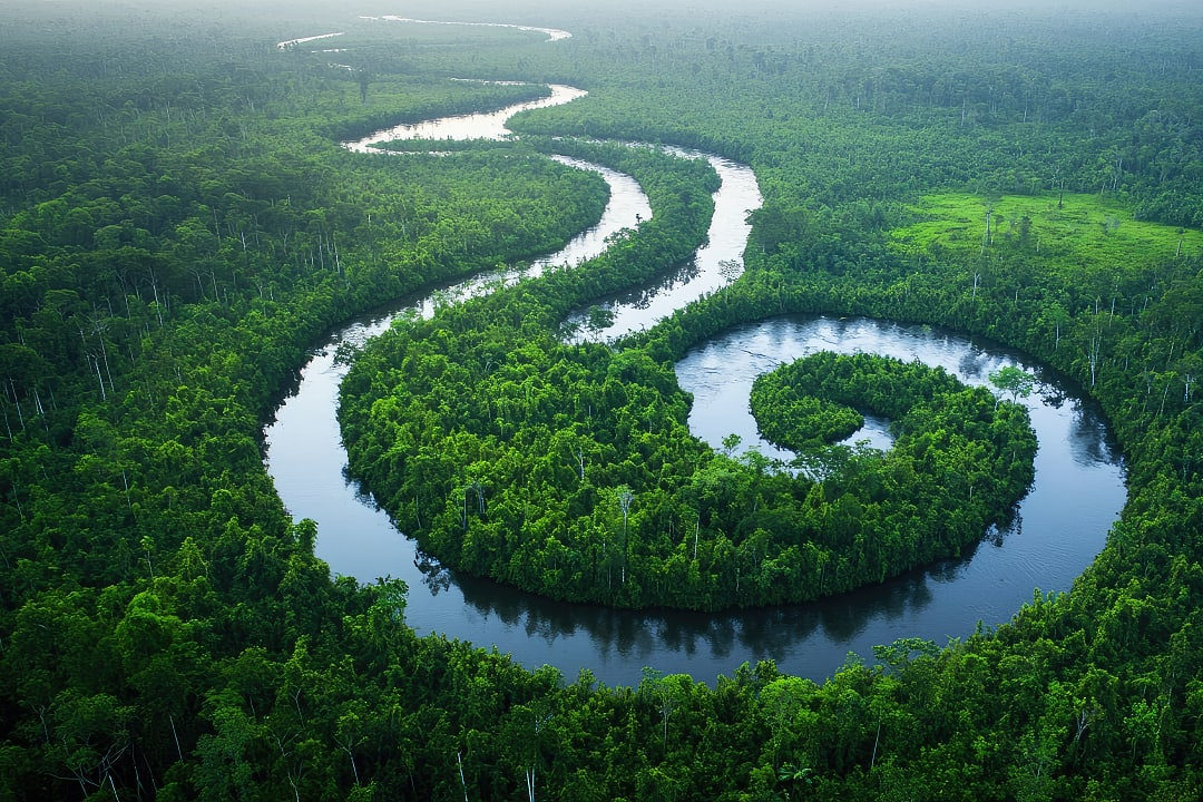 Tanjung Puting National Park, Indonesia.