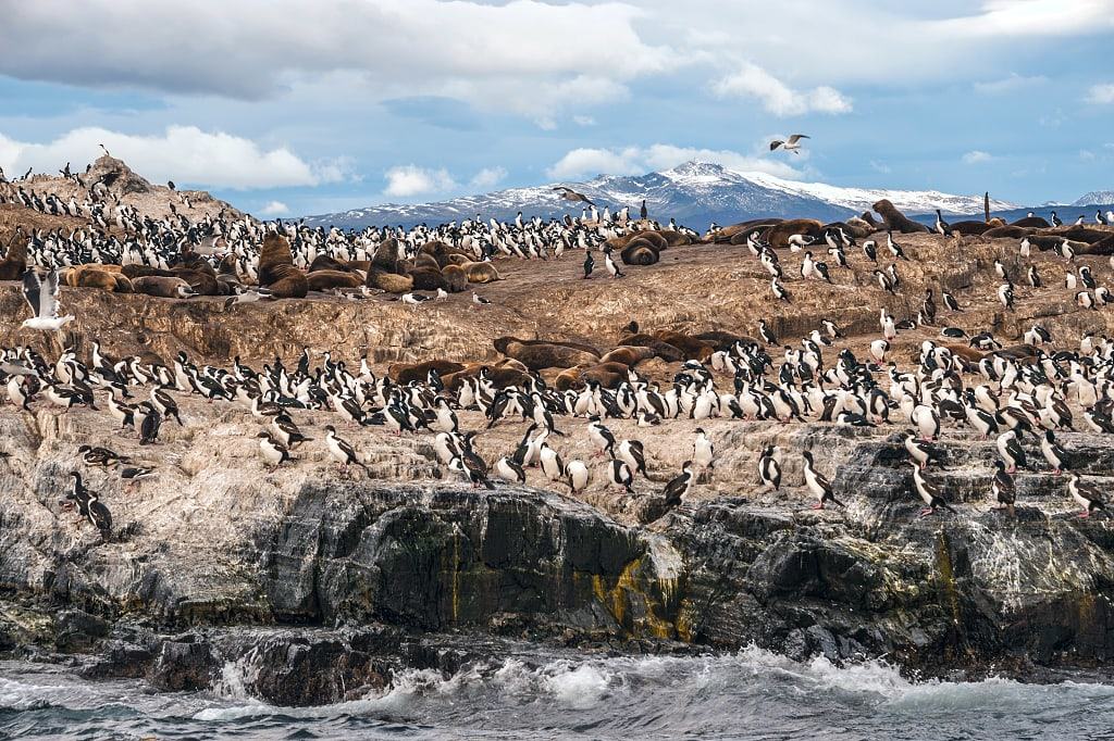 Tierra del Fuego,Chile