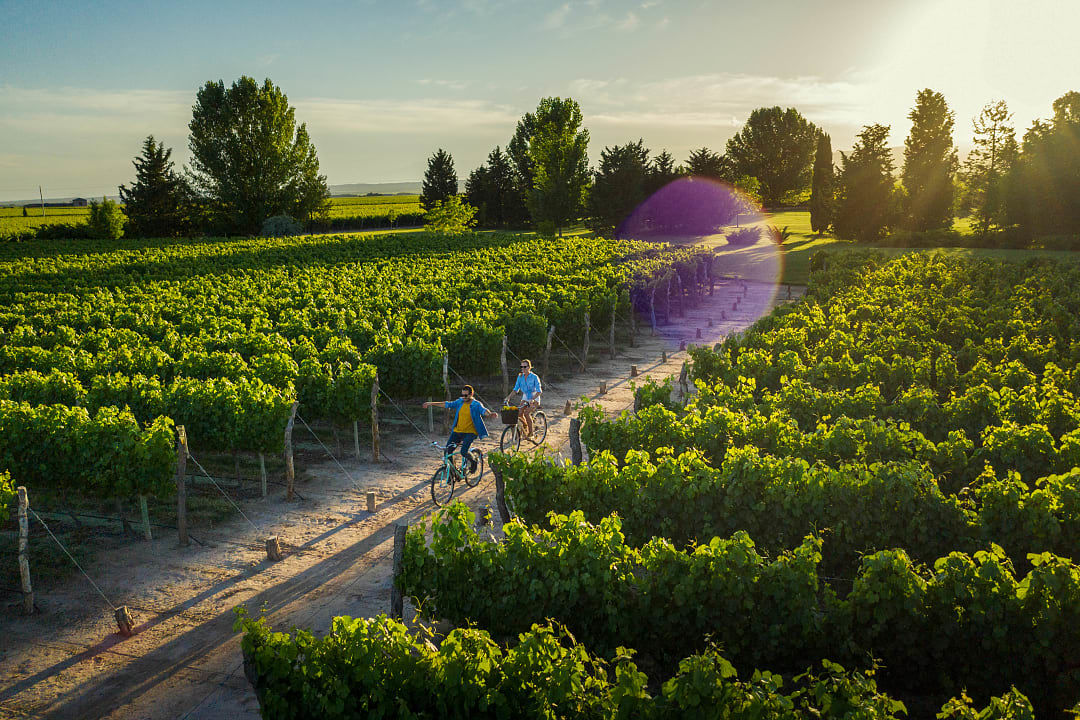Couple biking through vineyards in Mendoza, Argentina