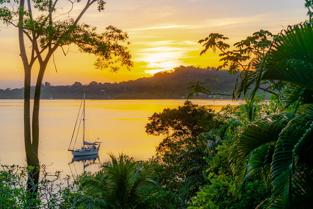 Dolphin Bay in Bocas del Toro, Panama