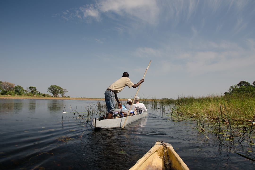 A guide navigates a mokoro through Botswana’s tranquil Okavango Delta waters.